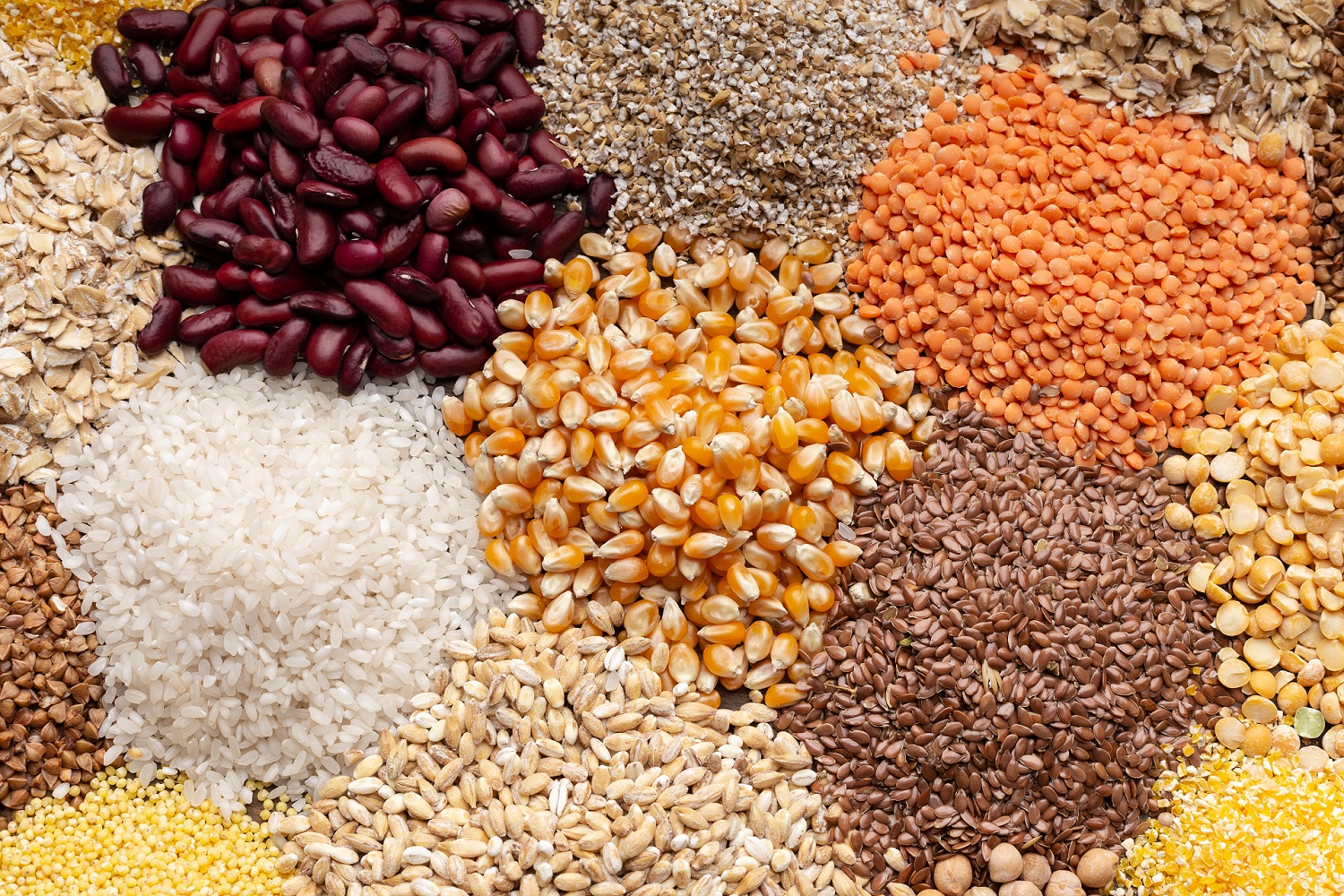 Grains & Pulses